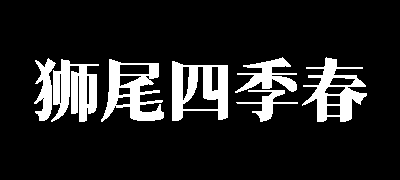 狮尾四季春